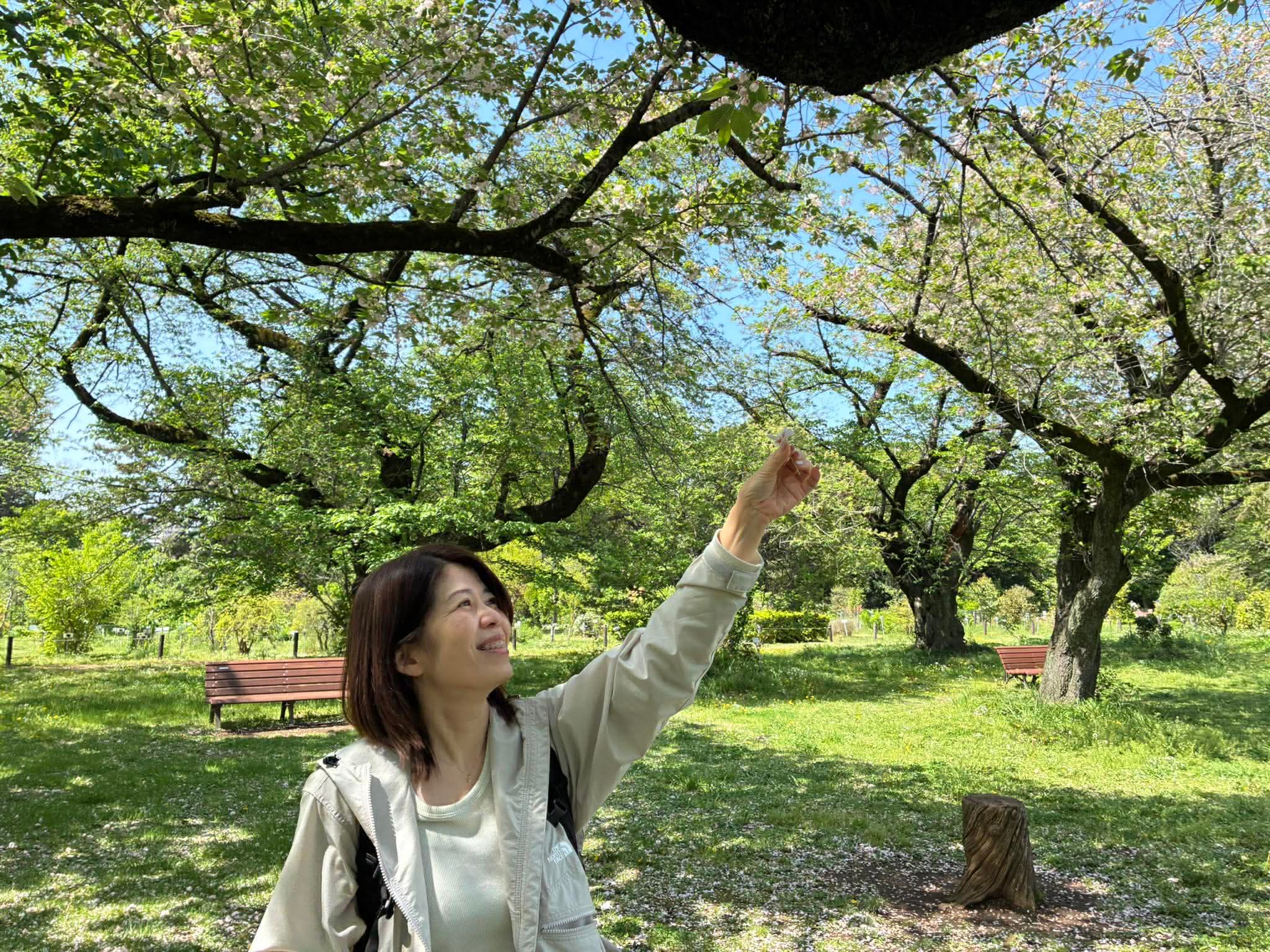 太田みわ